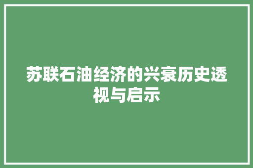 苏联石油经济的兴衰历史透视与启示 苏联石油经济的兴衰历史透视与启示