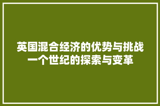 英国混合经济的优势与挑战一个世纪的探索与变革 英国混合经济的优势与挑战一个世纪的探索与变革