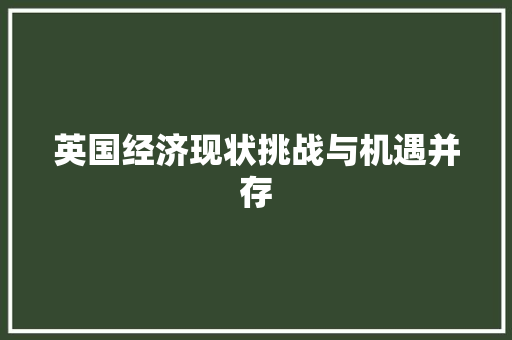 英国经济现状挑战与机遇并存 英国经济现状挑战与机遇并存
