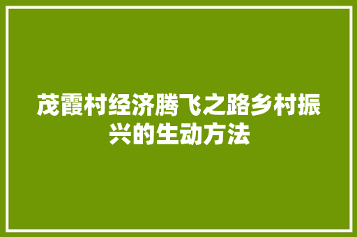 茂霞村经济腾飞之路乡村振兴的生动方法 茂霞村经济腾飞之路乡村振兴的生动方法
