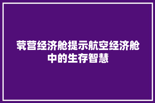 茕营经济舱提示航空经济舱中的生存智慧 茕营经济舱提示航空经济舱中的生存智慧