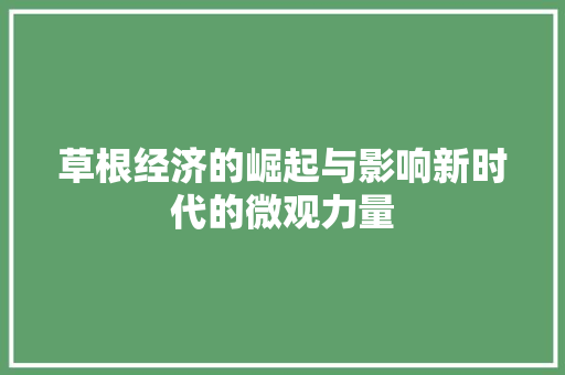 草根经济的崛起与影响新时代的微观力量 草根经济的崛起与影响新时代的微观力量