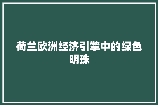 荷兰欧洲经济引擎中的绿色明珠 荷兰欧洲经济引擎中的绿色明珠