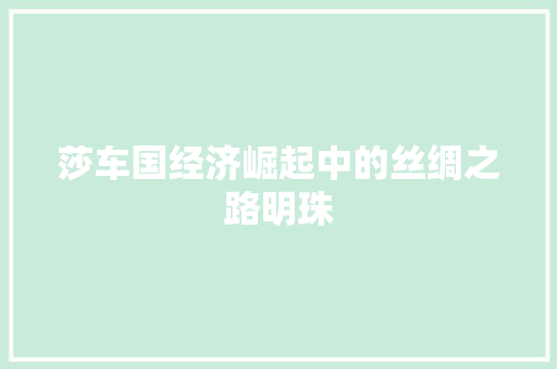 莎车国经济崛起中的丝绸之路明珠 莎车国经济崛起中的丝绸之路明珠