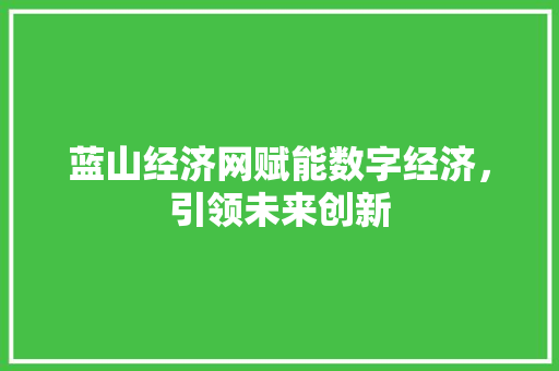 蓝山经济网赋能数字经济,引领未来创新 蓝山经济网赋能数字经济,引领未来创新