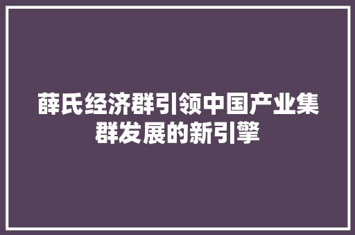 薛氏经济群引领中国产业集群发展的新引擎 薛氏经济群引领中国产业集群发展的新引擎