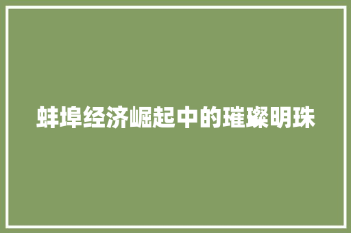 蚌埠经济崛起中的璀璨明珠