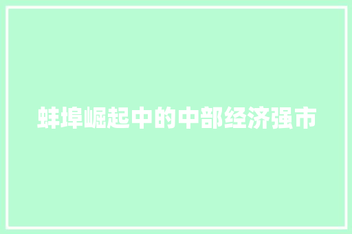 蚌埠崛起中的中部经济强市 蚌埠崛起中的中部经济强市