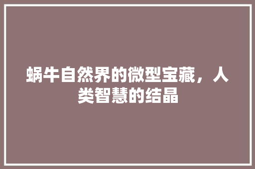 蜗牛自然界的微型宝藏,人类智慧的结晶 蜗牛自然界的微型宝藏,人类智慧的结晶