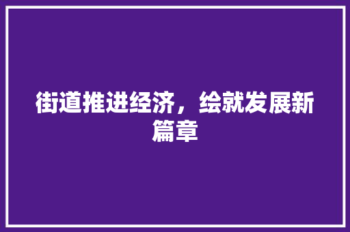 街道推进经济,绘就发展新篇章 街道推进经济,绘就发展新篇章