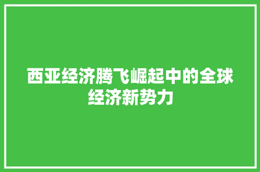 西亚经济腾飞崛起中的全球经济新势力 西亚经济腾飞崛起中的全球经济新势力
