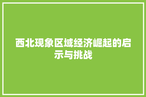 西北现象区域经济崛起的启示与挑战 西北现象区域经济崛起的启示与挑战