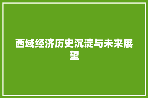 西域经济历史沉淀与未来展望 西域经济历史沉淀与未来展望
