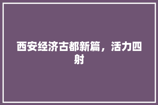 西安经济古都新篇,活力四射 西安经济古都新篇,活力四射