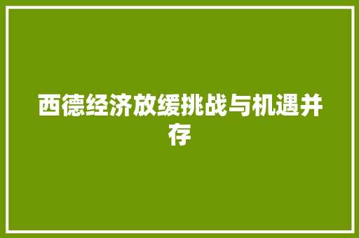 西德经济放缓挑战与机遇并存 西德经济放缓挑战与机遇并存
