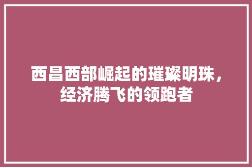 西昌西部崛起的璀璨明珠,经济腾飞的领跑者 西昌西部崛起的璀璨明珠,经济腾飞的领跑者