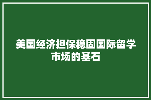 美国经济担保稳固国际留学市场的基石