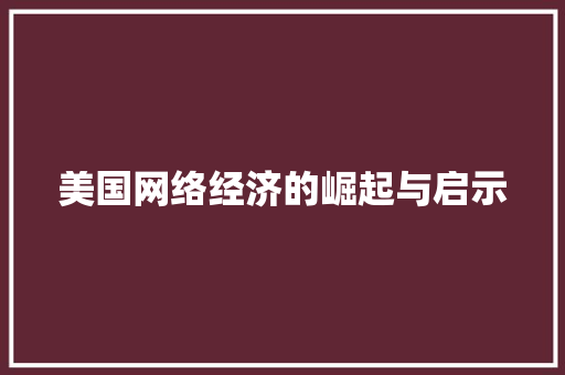 美国网络经济的崛起与启示 美国网络经济的崛起与启示