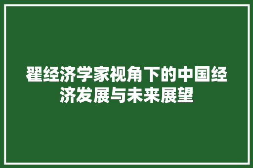 翟经济学家视角下的中国经济发展与未来展望 翟经济学家视角下的中国经济发展与未来展望