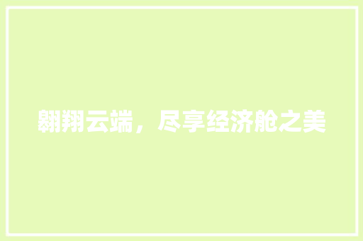 翱翔云端,尽享经济舱之美 翱翔云端,尽享经济舱之美