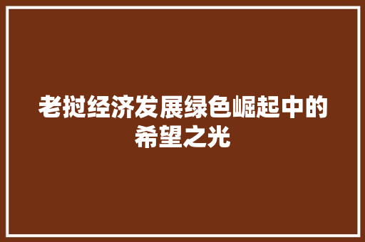老挝经济发展绿色崛起中的希望之光 老挝经济发展绿色崛起中的希望之光