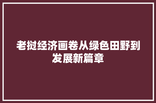 老挝经济画卷从绿色田野到发展新篇章 老挝经济画卷从绿色田野到发展新篇章