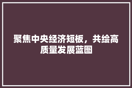 聚焦中央经济短板,共绘高质量发展蓝图 聚焦中央经济短板,共绘高质量发展蓝图
