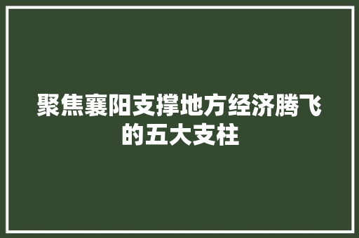 聚焦襄阳支撑地方经济腾飞的五大支柱 聚焦襄阳支撑地方经济腾飞的五大支柱