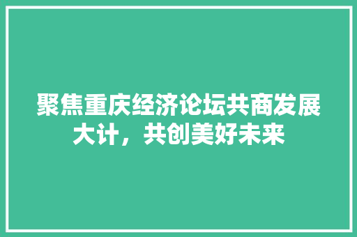 聚焦重庆经济论坛共商发展大计,共创美好未来 聚焦重庆经济论坛共商发展大计,共创美好未来