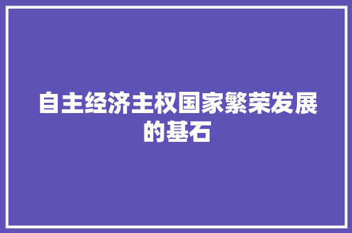 自主经济主权国家繁荣发展的基石 自主经济主权国家繁荣发展的基石