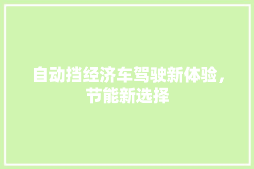 自动挡经济车驾驶新体验,节能新选择 自动挡经济车驾驶新体验,节能新选择