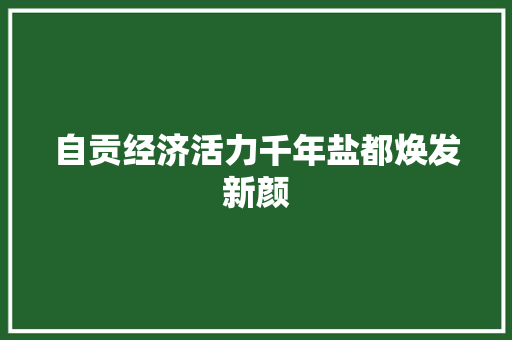 自贡经济活力千年盐都焕发新颜 自贡经济活力千年盐都焕发新颜