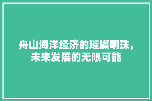 舟山海洋经济的璀璨明珠,未来发展的无限可能 舟山海洋经济的璀璨明珠,未来发展的无限可能