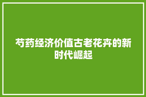 芍药经济价值古老花卉的新时代崛起 芍药经济价值古老花卉的新时代崛起