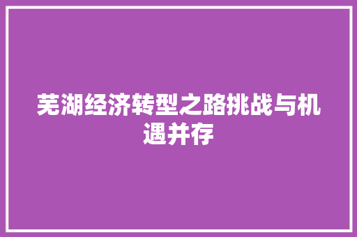 芜湖经济转型之路挑战与机遇并存 芜湖经济转型之路挑战与机遇并存