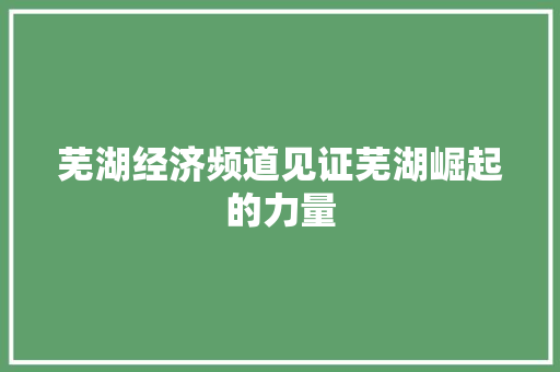 芜湖经济频道见证芜湖崛起的力量 芜湖经济频道见证芜湖崛起的力量