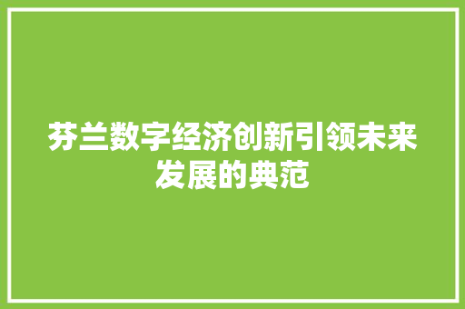 芬兰数字经济创新引领未来发展的典范 芬兰数字经济创新引领未来发展的典范