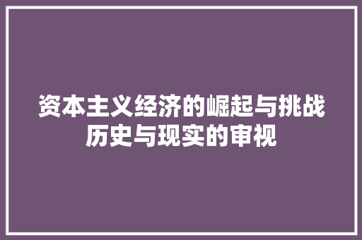 资本主义经济的崛起与挑战历史与现实的审视 资本主义经济的崛起与挑战历史与现实的审视