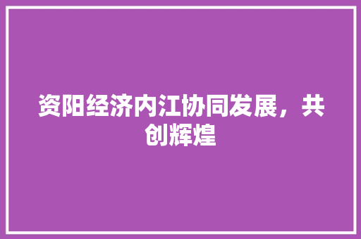 资阳经济内江协同发展,共创辉煌 资阳经济内江协同发展,共创辉煌