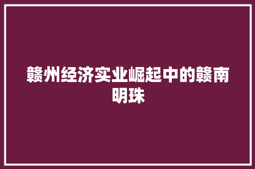 赣州经济实业崛起中的赣南明珠 赣州经济实业崛起中的赣南明珠