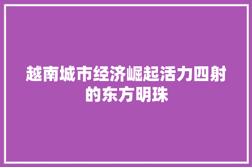 越南城市经济崛起活力四射的东方明珠 越南城市经济崛起活力四射的东方明珠