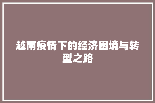 越南疫情下的经济困境与转型之路 越南疫情下的经济困境与转型之路