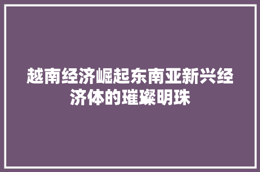 越南经济崛起东南亚新兴经济体的璀璨明珠 越南经济崛起东南亚新兴经济体的璀璨明珠