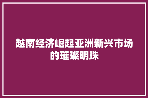 越南经济崛起亚洲新兴市场的璀璨明珠 越南经济崛起亚洲新兴市场的璀璨明珠