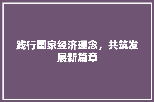 践行国家经济理念,共筑发展新篇章 践行国家经济理念,共筑发展新篇章