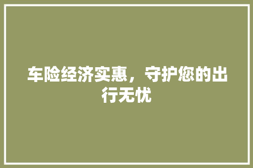 车险经济实惠,守护您的出行无忧 车险经济实惠,守护您的出行无忧