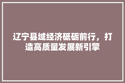辽宁县域经济砥砺前行,打造高质量发展新引擎 辽宁县域经济砥砺前行,打造高质量发展新引擎