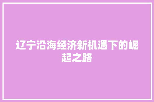 辽宁沿海经济新机遇下的崛起之路