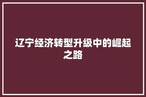 辽宁经济转型升级中的崛起之路 辽宁经济转型升级中的崛起之路