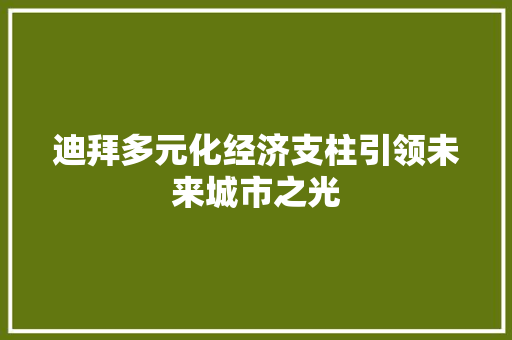 迪拜多元化经济支柱引领未来城市之光 迪拜多元化经济支柱引领未来城市之光